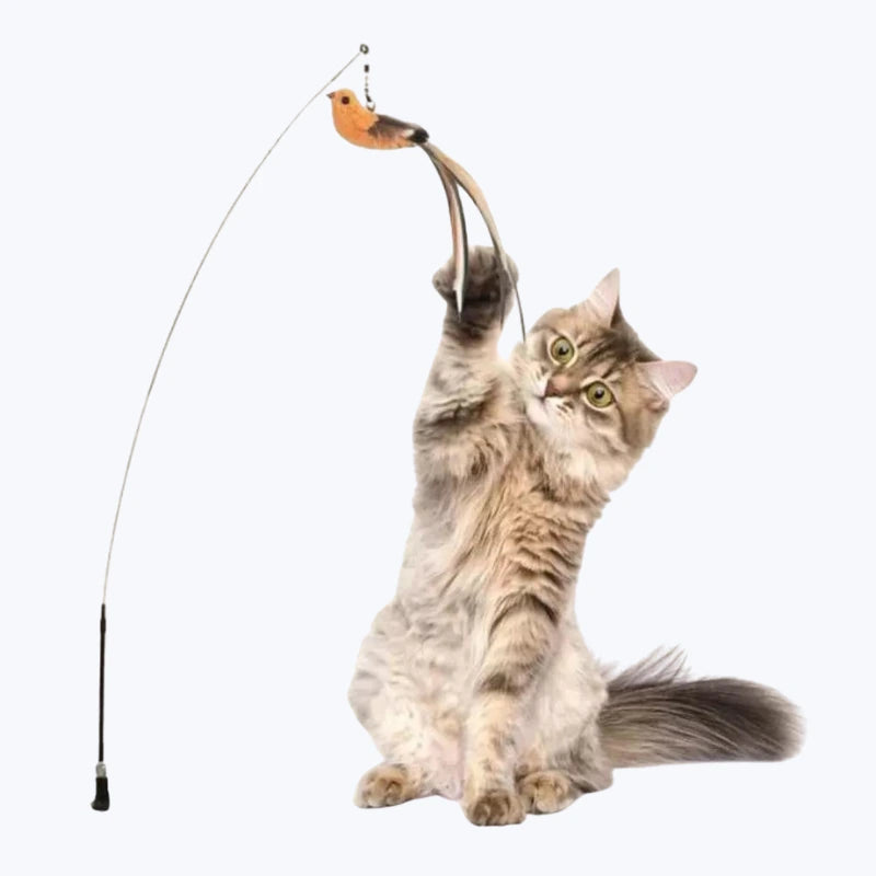 Interactive cat feather toy (fixable stand) – Bordel-demiaou