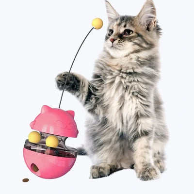 Jeux pour chat