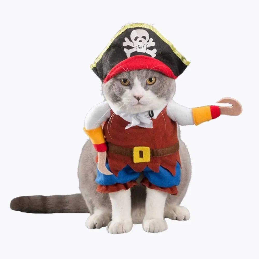 Costume chat amusant pirate