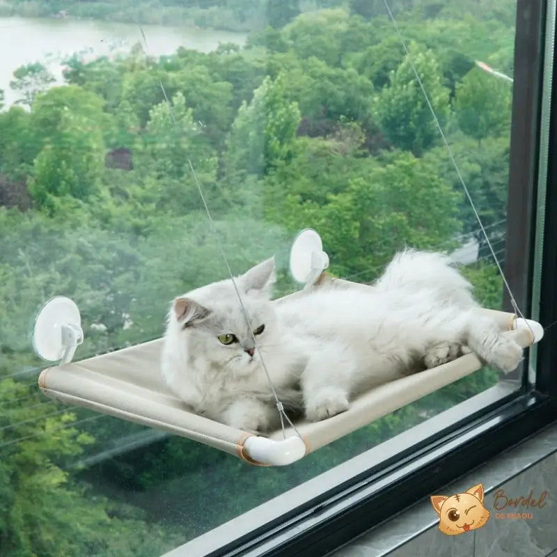 Hamac chat de fenêtre