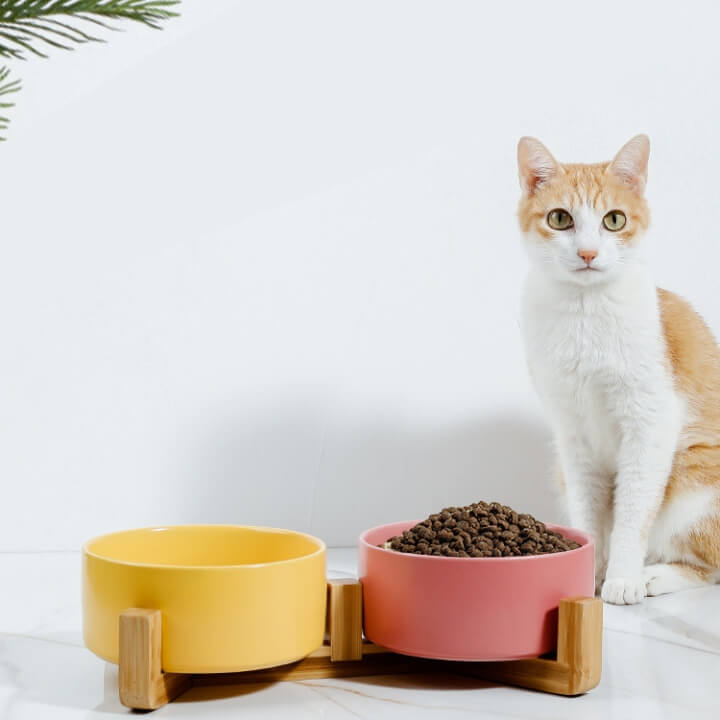 Gamelle en céramique pour chat