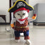 Costume chat amusant pirate