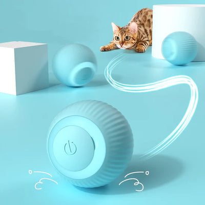 bordel-demiaou-balle-chat-interactif-intelligente-mouvement-bleu