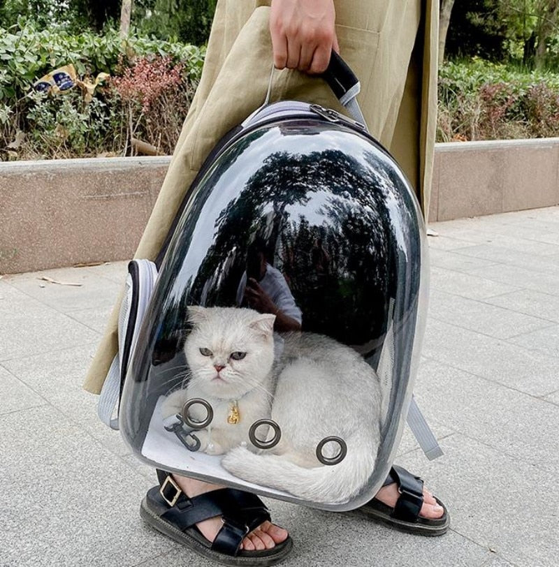 Sac à dos de transport pour chat hublot