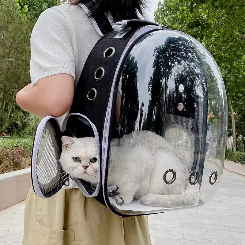 Sac à dos de transport pour chat et chaton, hublot en tête de chat