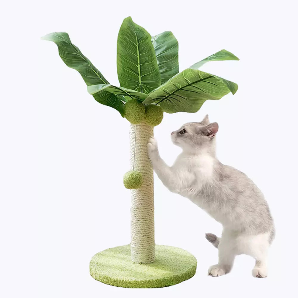 Griffoir sisal en palmier pour chat
