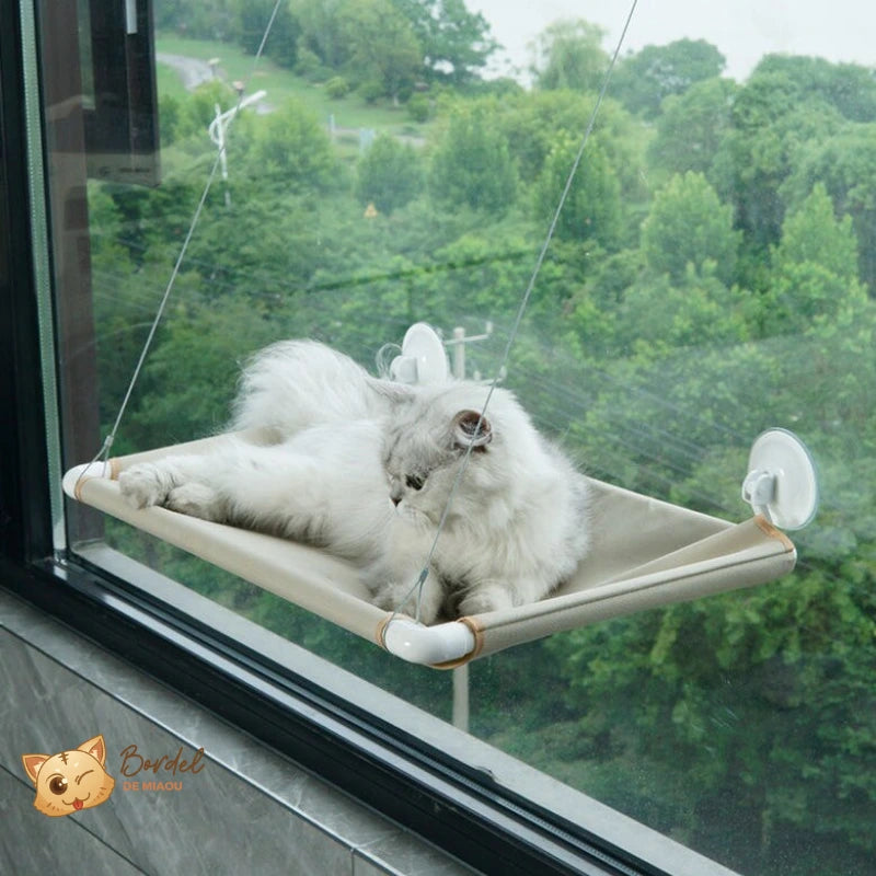 Hamac fenêtre pour chat Ventouse